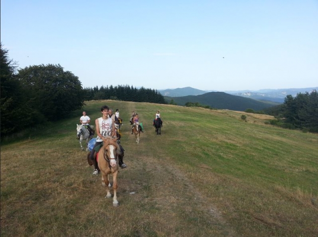 Vacaciones a caballo para niños 